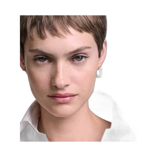 Gem Dior Earrings