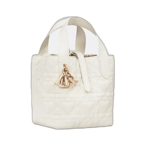 Dior Toujours Vertical Nano Tote Bag