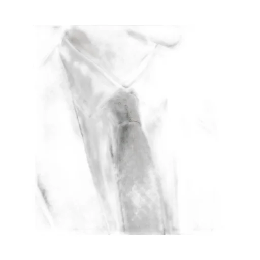 Cd Icon Tie
