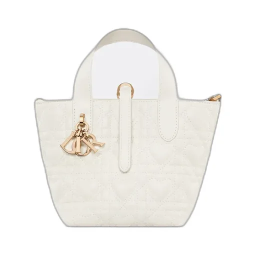 Dior Toujours Vertical Nano Tote Bag