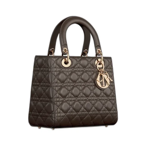 Medium Lady Dior Bag