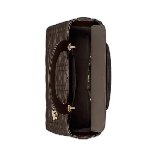 Medium Lady Dior Bag