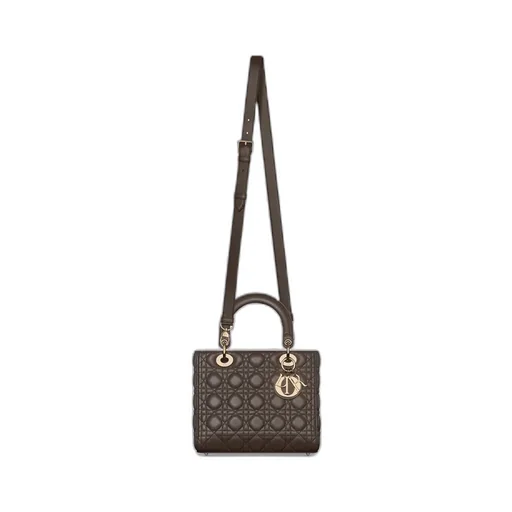 Medium Lady Dior Bag