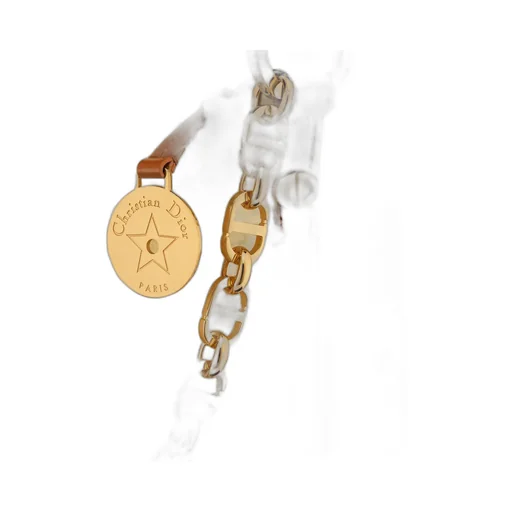 Diorstar Hobo Bag With Chain