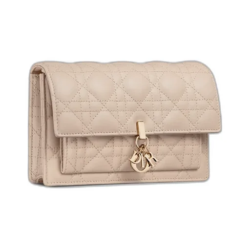 My Dior Daily Pouch With Chain
