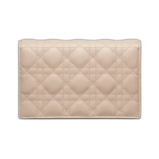 My Dior Daily Pouch With Chain