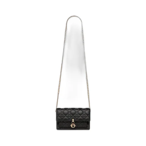 My Dior Daily Pouch With Chain