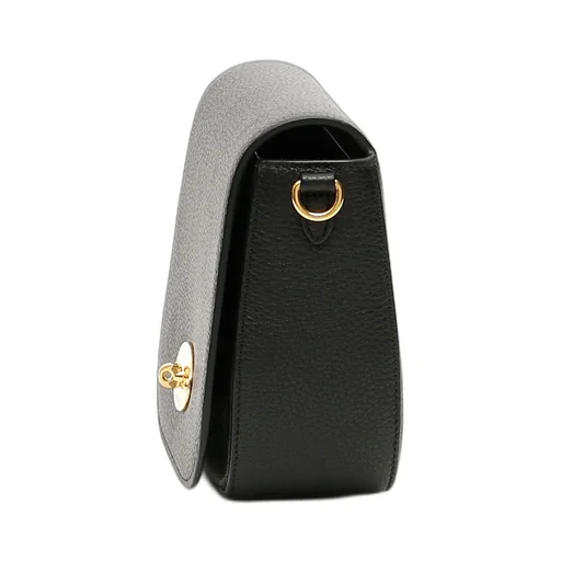 Mulberry Darley Twist-Lock Small Crossbody Bag