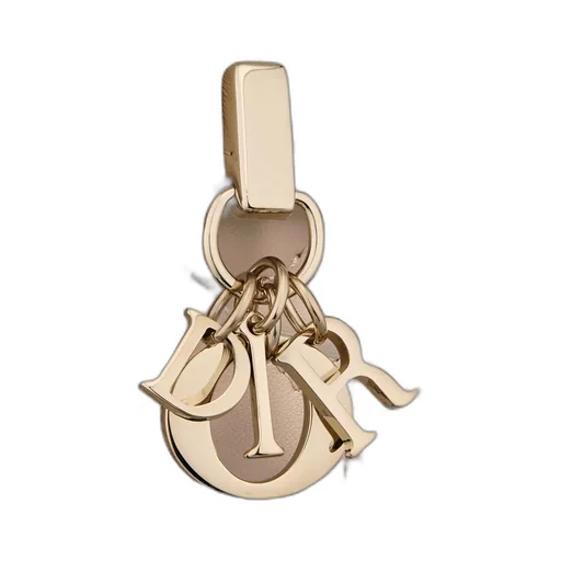 My Dior Daily Pouch With Chain