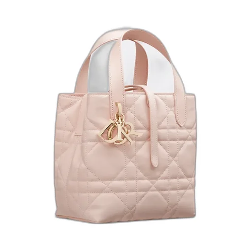 Small Dior Toujours Vertical Tote Bag