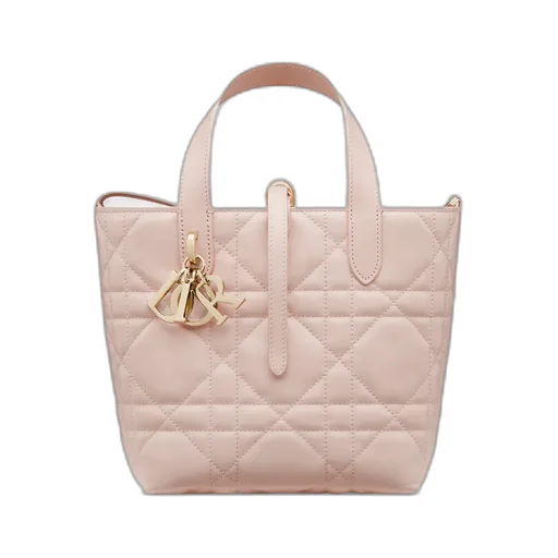 Small Dior Toujours Vertical Tote Bag