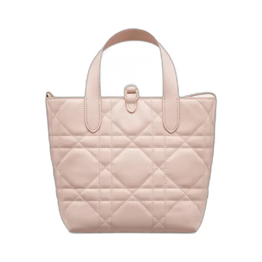 Small Dior Toujours Vertical Tote Bag