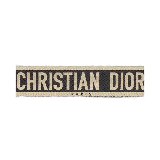 Large Dior Book Tote