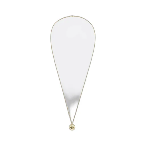 Medium Rose Des Vents Medallion