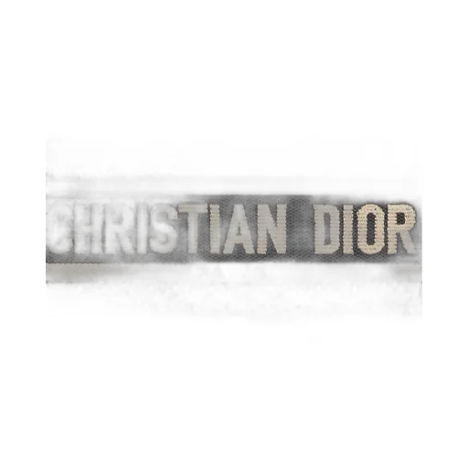 Small Dior Book Tote