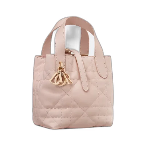 Dior Toujours Vertical Nano Tote Bag