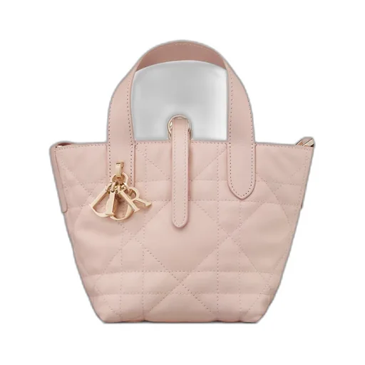 Dior Toujours Vertical Nano Tote Bag