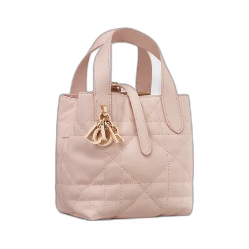 Dior Toujours Vertical Nano Tote Bag