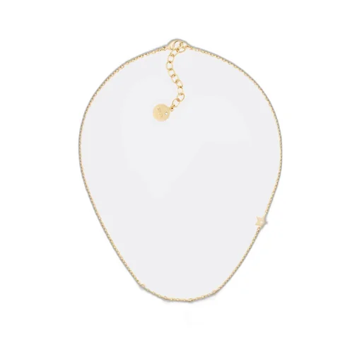 Dioevolution Necklace