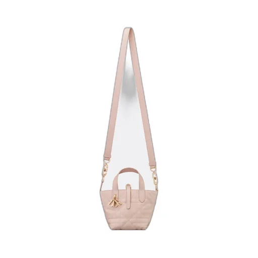 Dior Toujours Vertical Nano Tote Bag