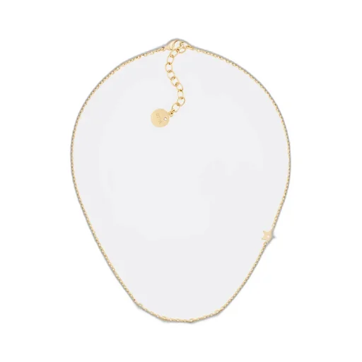 Dioevolution Necklace