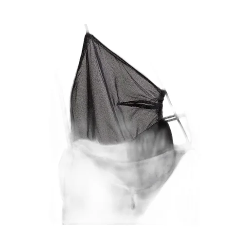 Nensi Dojaka Sheer Bra Mini Dress