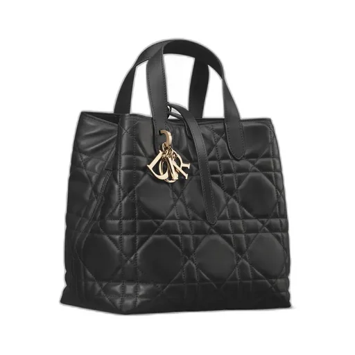 Medium Dior Toujours Vertical Tote Bag