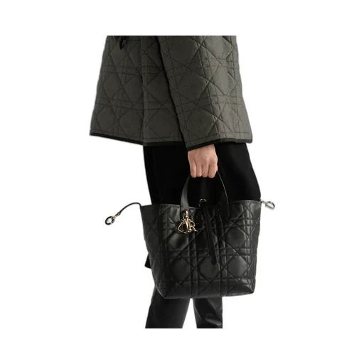 Medium Dior Toujours Vertical Tote Bag