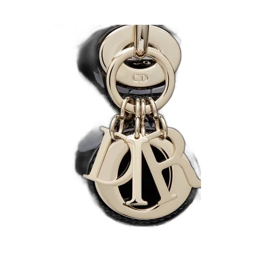 Mini Lady Dior Bag