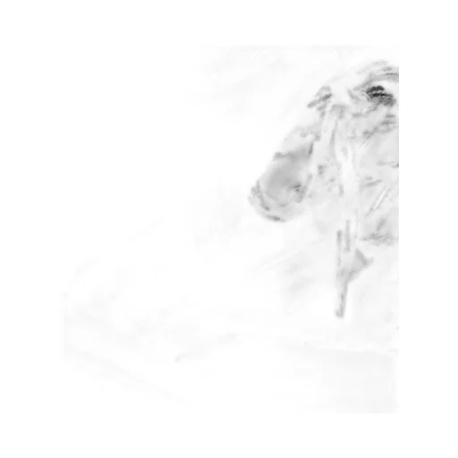 D-Sketch Sneaker