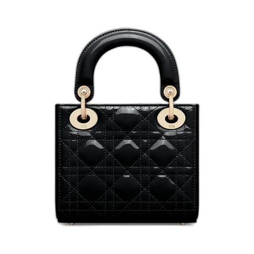 Mini Lady Dior Bag