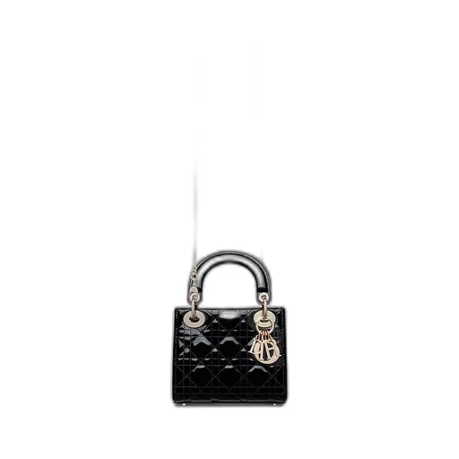 Mini Lady Dior Bag