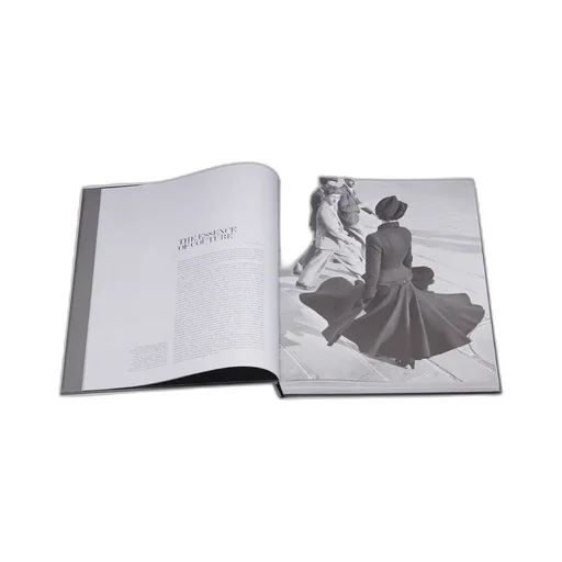 Book: Christian Dior – Designer Of Dreams