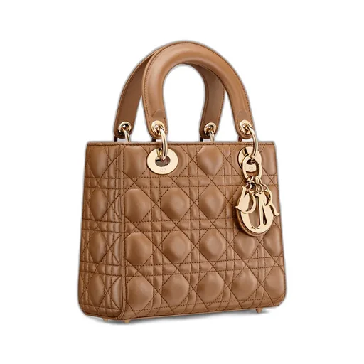Small Lady Dior My Abcdior Bag