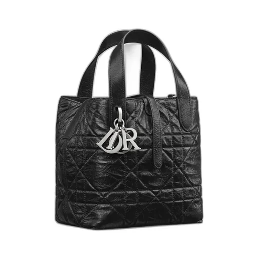 Small Dior Toujours Vertical Tote Bag