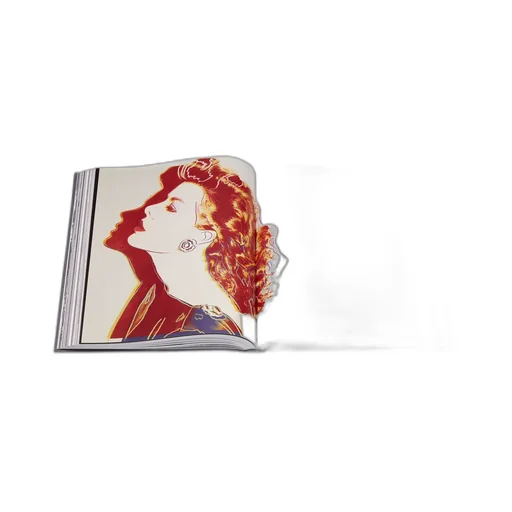 Book: Christian Dior – Designer Of Dreams