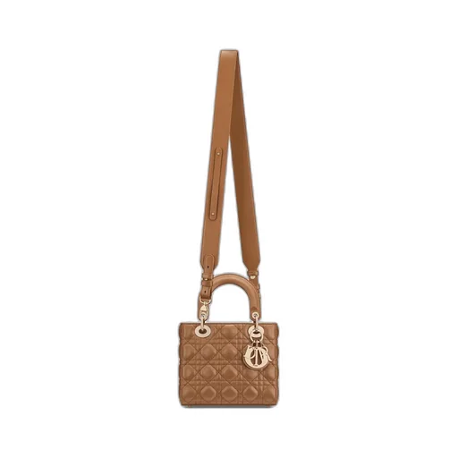 Small Lady Dior My Abcdior Bag