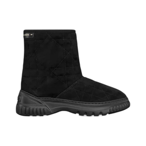 Dior Frost Ankle Boot