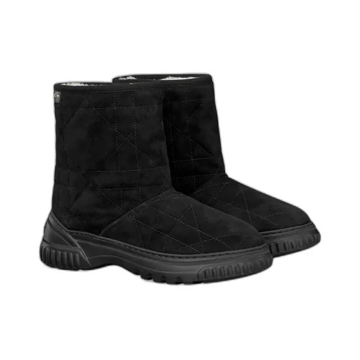 Dior Frost Ankle Boot