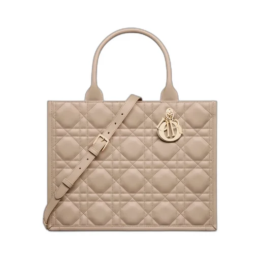 Medium Dior Book Tote