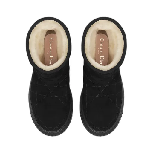 Dior Frost Ankle Boot