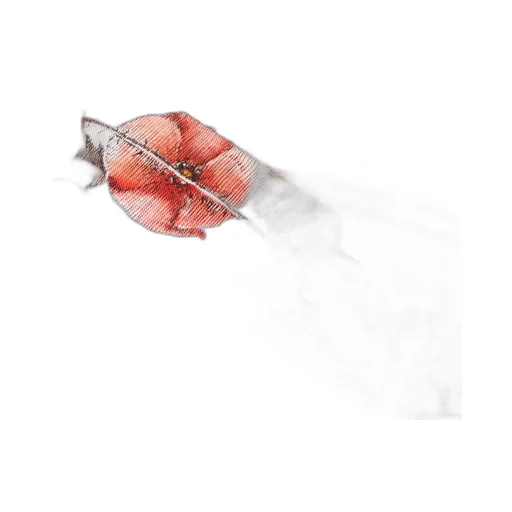 Abcdior C Coquelicot - ComÈTe Mitzah Scarf