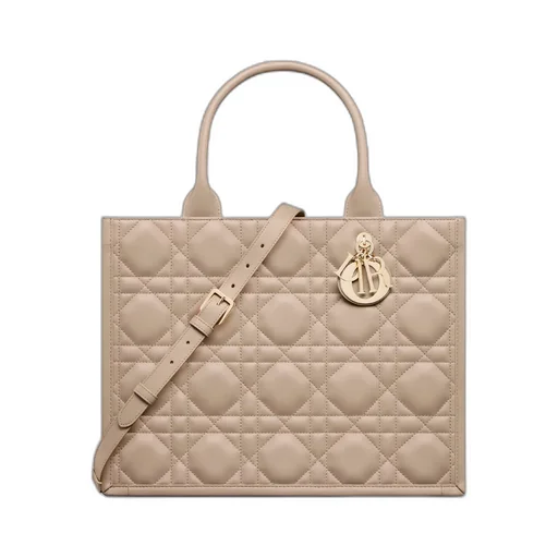 Medium Dior Book Tote