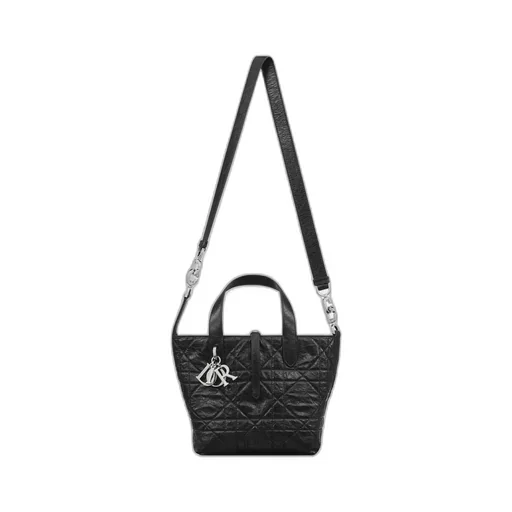 Small Dior Toujours Vertical Tote Bag