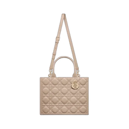 Medium Dior Book Tote