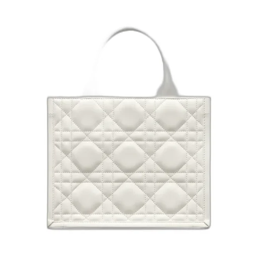 Small Dior Book Tote
