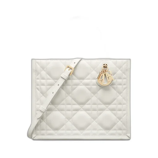 Small Dior Book Tote