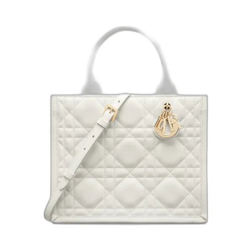 Small Dior Book Tote