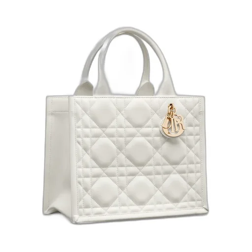 Small Dior Book Tote
