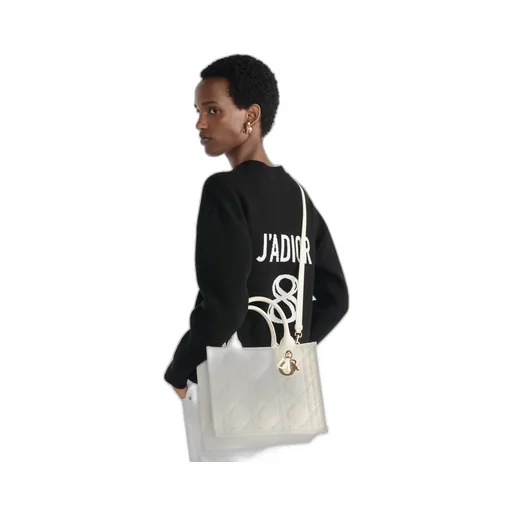 Small Dior Book Tote